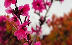 动态图邪恶第43、期李毅吧第43期